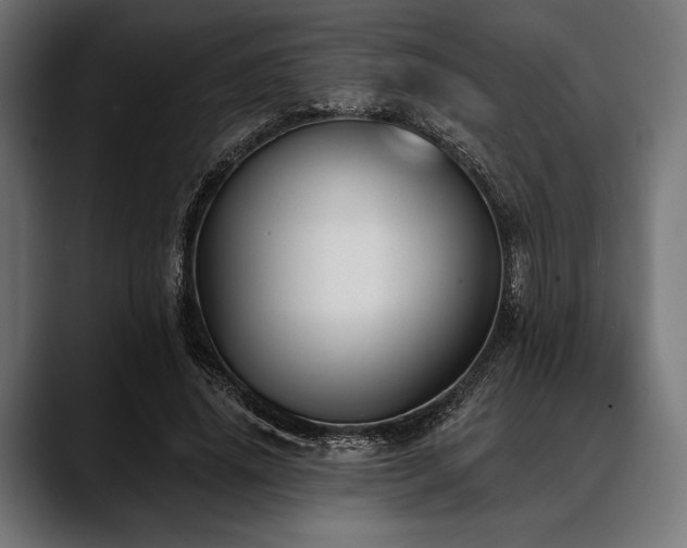 X0000088610636200705251221