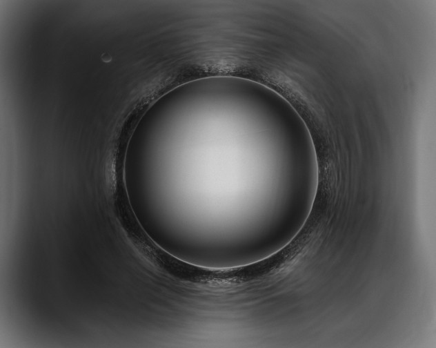 X0000088610638200705251221