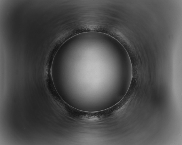 X0000088610640200705251221