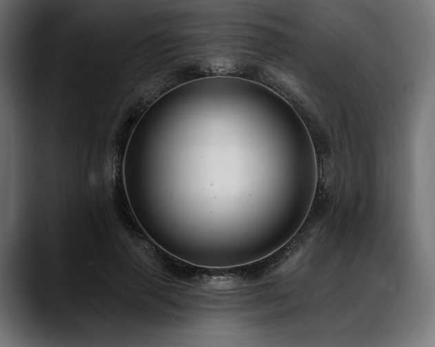 X0000088610645200705251221