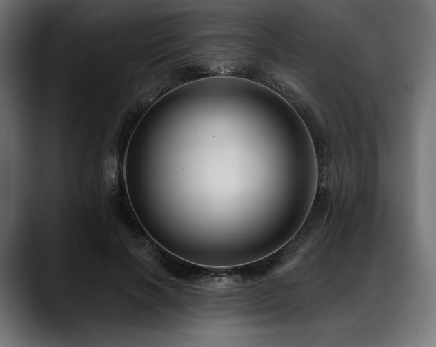 X0000088610646200705251221