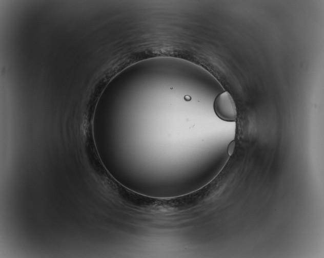 X0000088610648200705251222