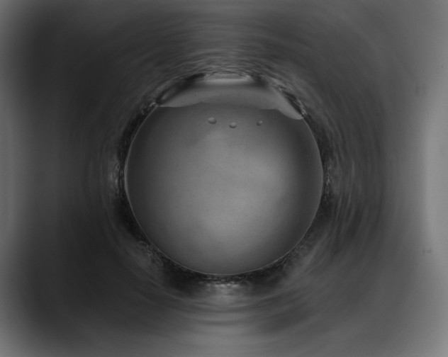 X0000088610650200705251222