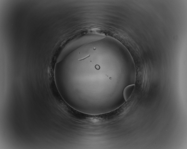 X0000088610654200705251222