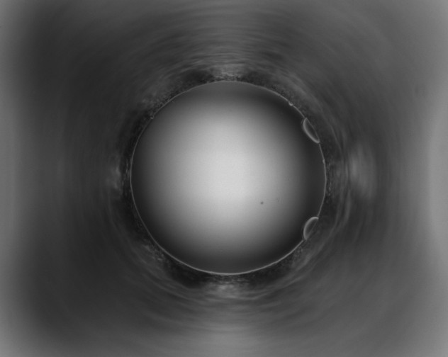 X0000088610655200705251222