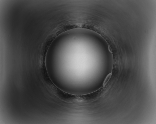 X0000088610656200705251222