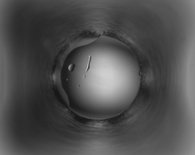 X0000088610661200705251222