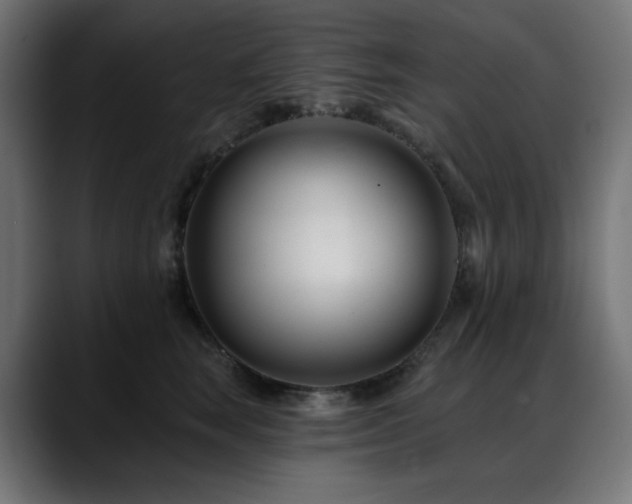 X0000088610663200705251222