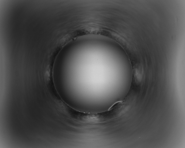 X0000088610668200705251222