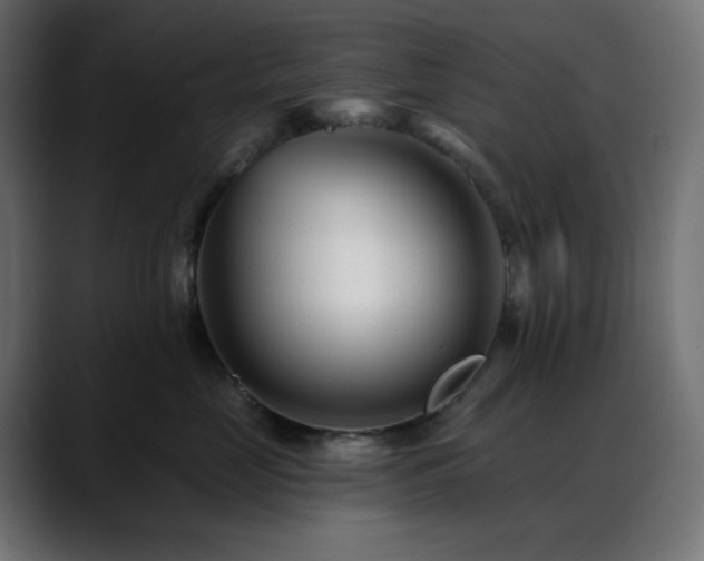 X0000088610669200705251222