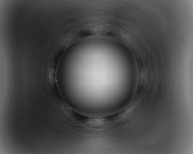 X0000088610671200705251222