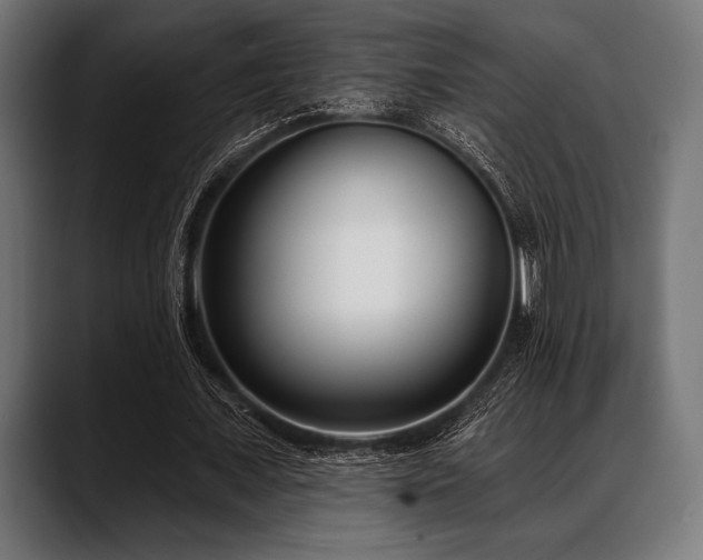 X0000088610675200705251221