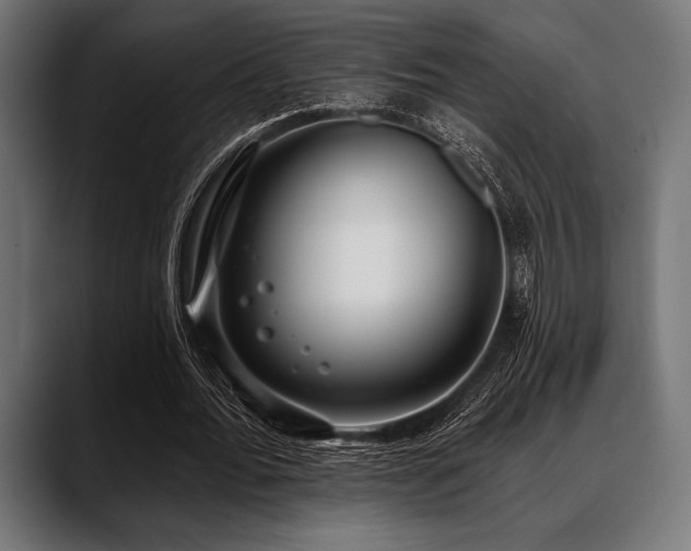 X0000088610676200705251221