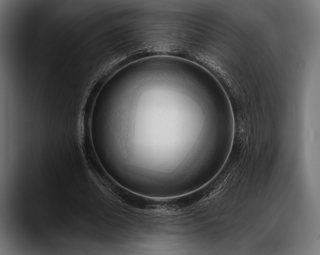 X0000088610678200705251221