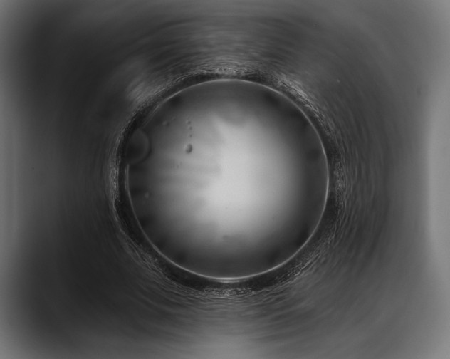 X0000088610679200705251221