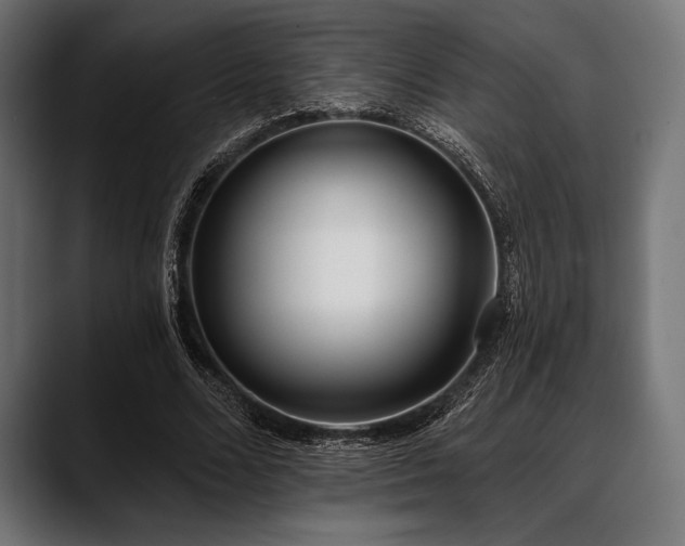 X0000088610680200705251221