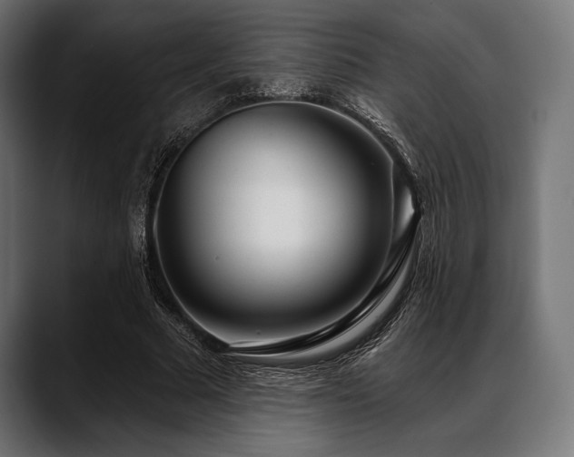 X0000088610681200705251221