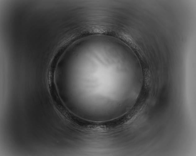 X0000088610683200705251221