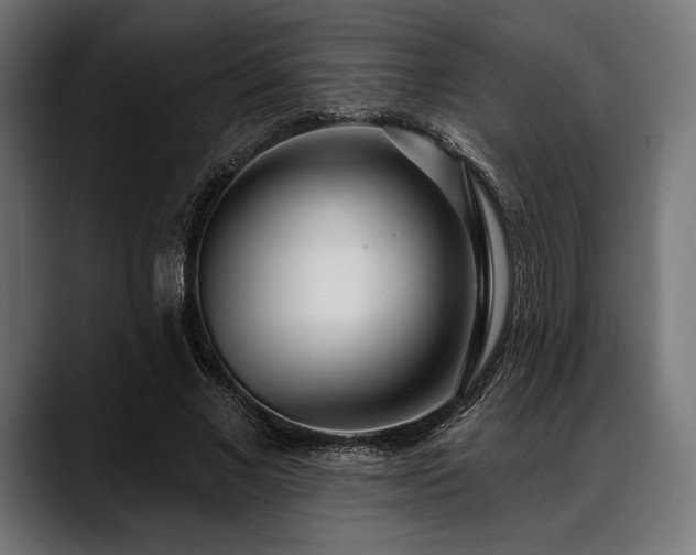 X0000088610685200705251221