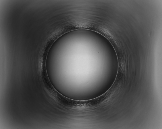 X0000088610686200705251221