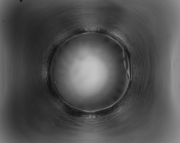 X0000088610687200705251221