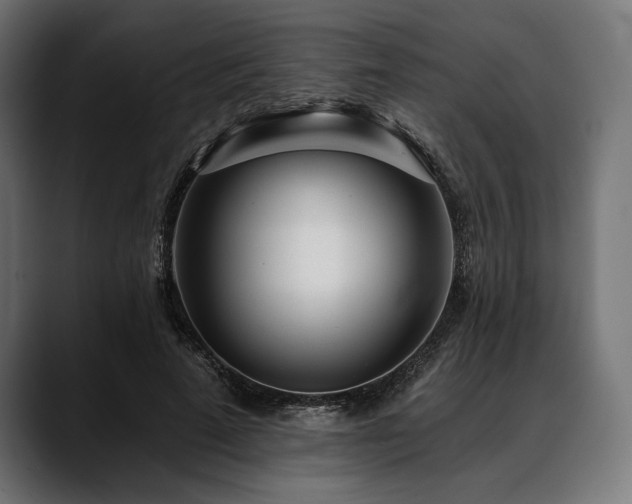 X0000088610689200705251221