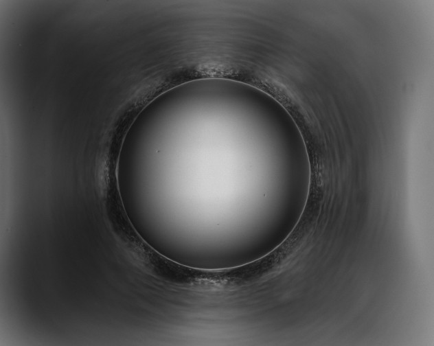 X0000088610690200705251221