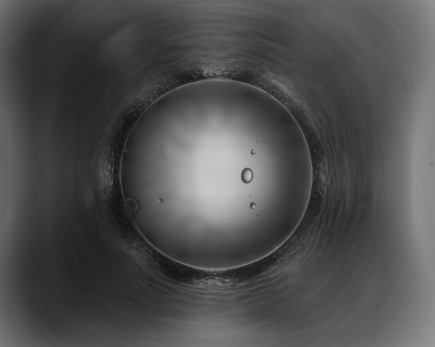 X0000088610691200705251221