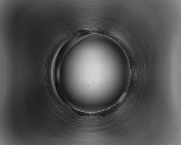 X0000088610692200705251221