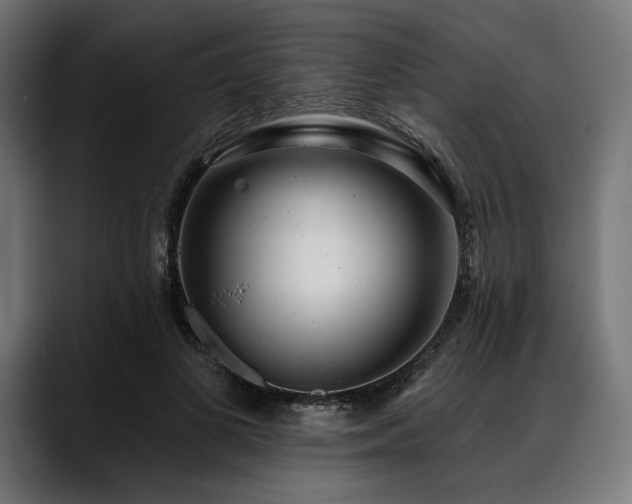 X0000088610693200705251221