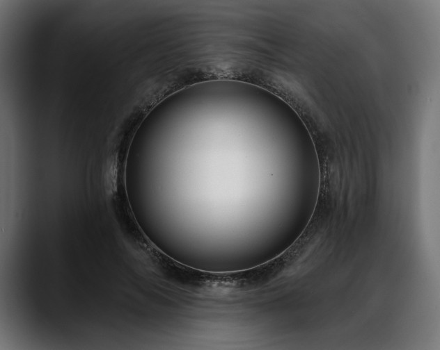 X0000088610694200705251221