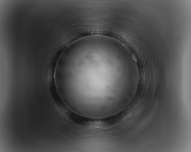 X0000088610695200705251221