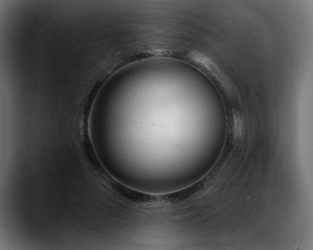 X0000088610696200705251221