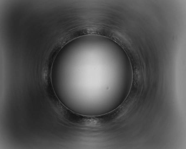 X0000088610698200705251221