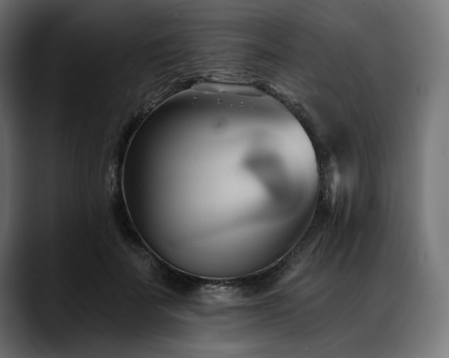 X0000088610699200705251221