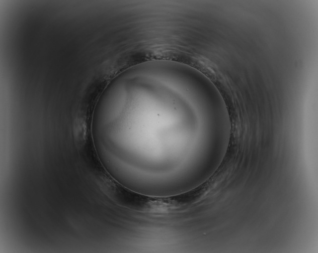 X0000088610703200705251221