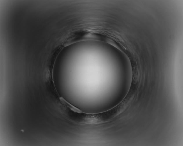 X0000088610704200705251221