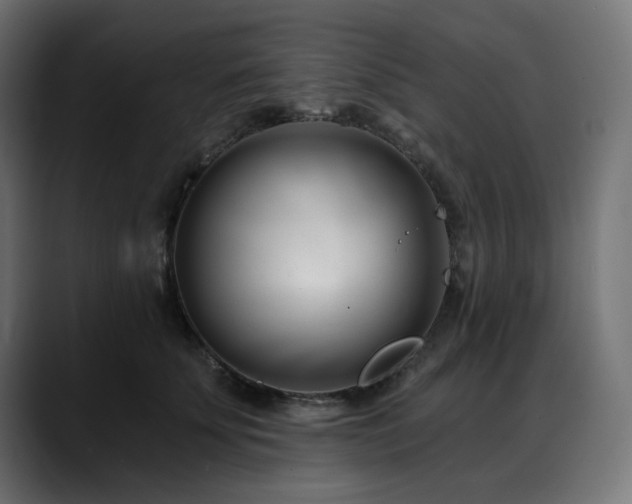 X0000088610707200705251221