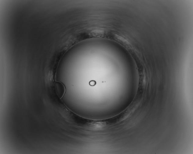 X0000088610711200705251221