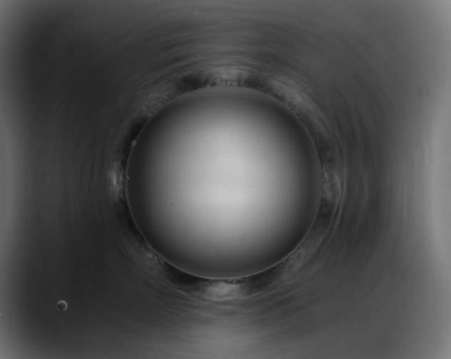 X0000088610718200705251221