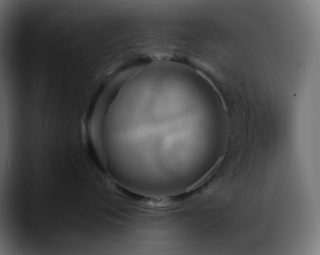 X0000088610720200705251221