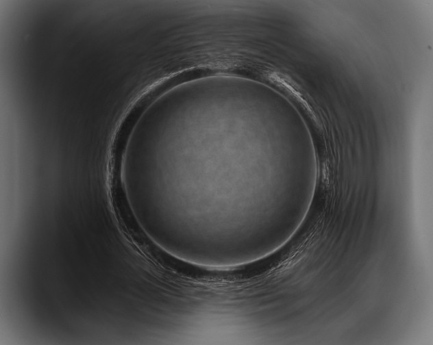 X0000088610724200705251220