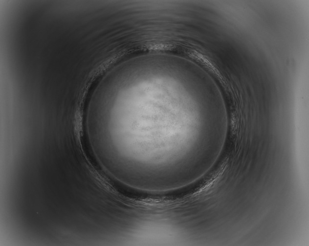 X0000088610725200705251220