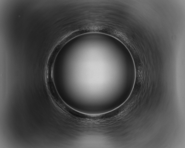 X0000088610726200705251220