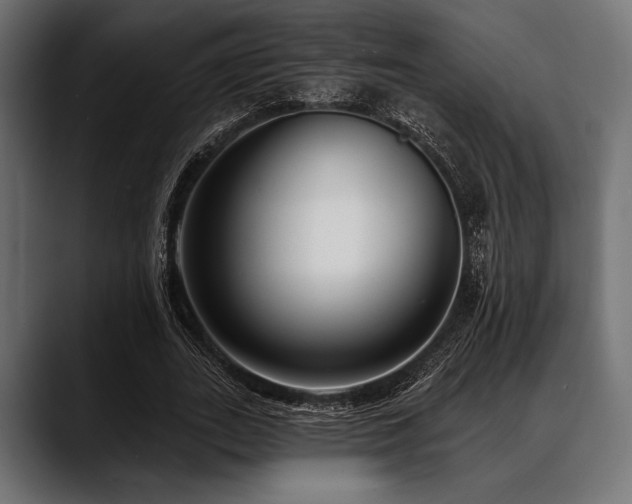 X0000088610727200705251220