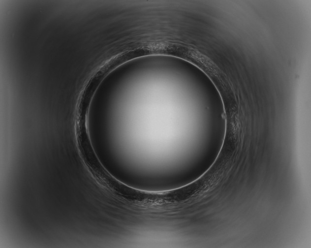 X0000088610728200705251220