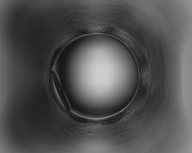 X0000088610729200705251220