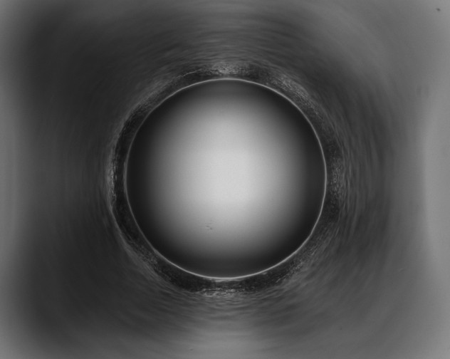 X0000088610730200705251220