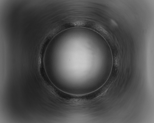 X0000088610733200705251220