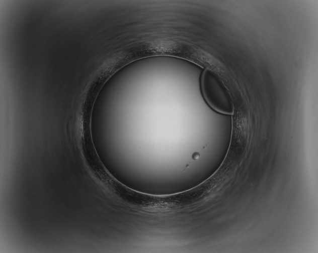 X0000088610734200705251220